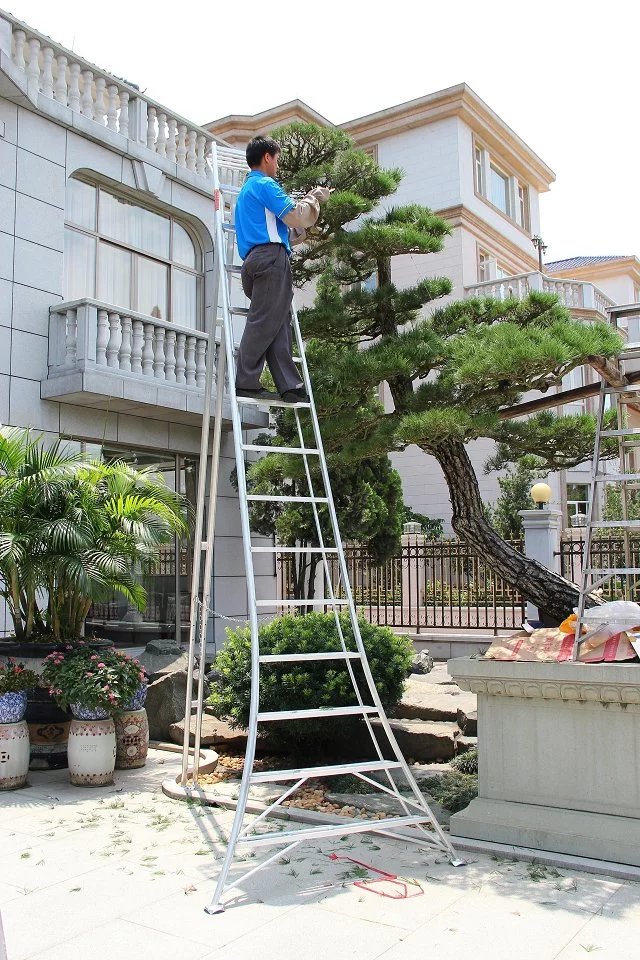 5.1高清.jpg 5.1高清.jpg